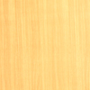 Malaysian Maple